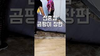 곰팡이 장판 최종편(이면 좋겠다)