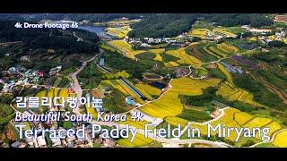 밀양 감물리다랭이논 4k드론영상 | Terraced Paddy Field  in Miryang City | 4k Drone Footage 65