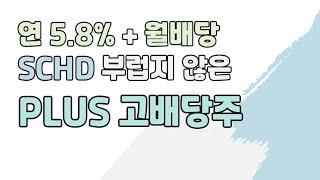 SCHD 부럽지 않다?! 연 5.8% 월배당, 한국 대표 고배당주 ETF 'PLUS 고배당주'
