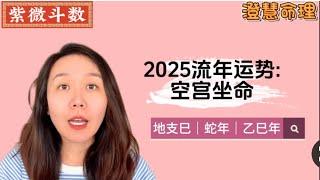 2025流年运势:空宫坐命｜蛇年｜乙巳年｜地支巳