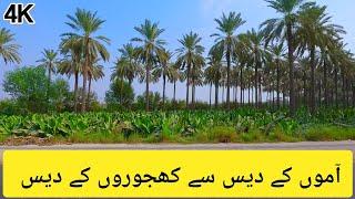 Multan to Sukkur Road Trip via M-5 Motorway | Pakistan 4K