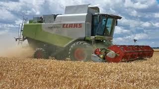 Žatva 2022 Pšenica CLAAS LEXION 570C 22.časť