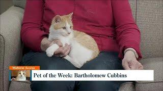 Pet of the Week: Bartholomew Cubbins