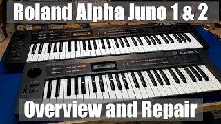 Roland Alpha Juno 1 and 2 Overview and Repair