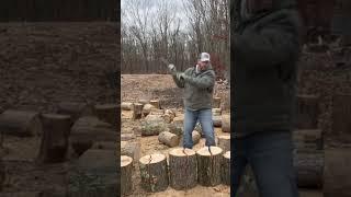 FISKARS SPLITTING AXE AND SOME RED OAK  @Peachmountainfarm #firewood #smallfarmlife