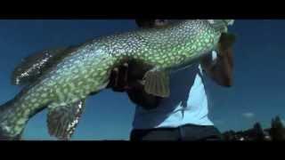 Amazing Pike - SYLVAIN LEGENDRE - PURE FISHING