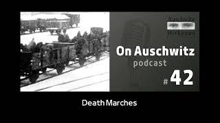 "On Auschwitz" (42): Death Marches from Auschwitz through Wodzisław Śląski and Gliwice