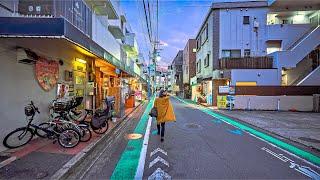 Suburban Tokyo - Evening Walk in Futako-Tamagawa, Japan • 4K HDR