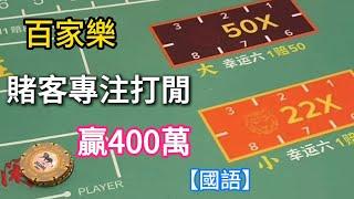 百家樂賭客專注打閒，贏400萬(國語)