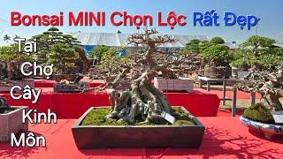 CHIÊM NGƯỠNG những TP Bonsai ĐẸP NHẤT tại chợ cây HÙNG LUYÊN - KINH MÔN - HD .