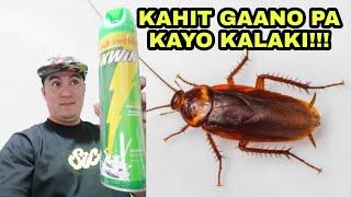 Goodbye Cockroach | KWIK Multi Insecticide Spray | Effective Test!