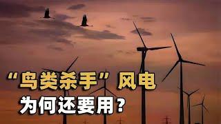 Wind power kills tens of thousands of birds every year  causing regional species extinction. Why sh