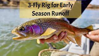 3 - Fly Rig for Runoff Season