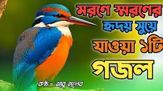 মরণের কথা স্মরণ করে একটা হৃদয় জুড়ানো গজল । abu taleb jikir tv । letest viral gojol 2024