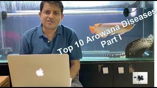 Top 10 Arowana Diseases Part I