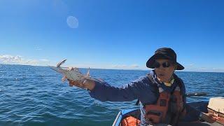 布里斯班现捕皮皮虾和大蓝蟹，海中摇滚涮火锅 Wellington Point Crabbing and Hotpot in the boat