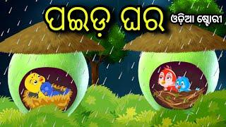 ପଇଡ଼ ଘର | Paida Ghara | Tiki Chadhei Odia Gapa Chadhei Gappa Odia Bird Story Odia Story Moral Story