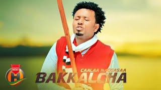 Caalaa Naggasaa - Bakkalcha - New Ethiopian Oromo Music 2024 (Official Video)