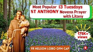 13 Tuesdays St. Anthony Novena (Konkani) by Fr. Nelson Lobo OFM Cap