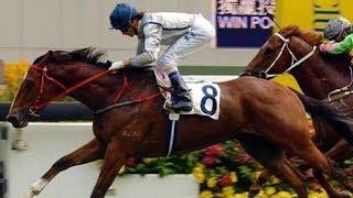 2005/06 (080) - Thistle King (龍冠) - 韋達 (初出即勝)