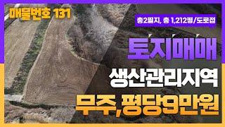 #131. 숨은 경치가 여기 다 있다~!