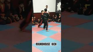 Roundhouse kick #martialarts #taekwondo #karare #selfdefence #fightingsport #shorts #asifcheema