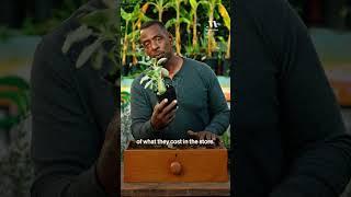 Herbs = the price of gold.  #ronfinley #gardeningtips