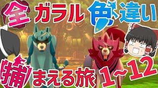 【ポケモン剣盾】全ガラルポケモンの色違い捕まえる旅　総集編（1~12）【ゆっくり実況】