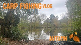 Carp fishing || autumn day session || vlog ￼