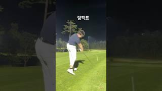 강남구 신사동, 대구 중구 수성구비거리로 스트레스 한도초과 어머님 아버님스윙과 타격을 알려드립니다 레슨 문의는 프로필 카카오톡 주세요 1번 아이언 살짝터치만 #화재임팩 #골프