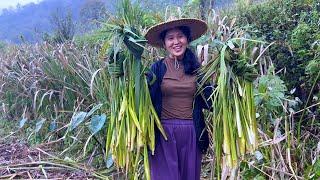 茭白简单一蒸，3个孩子抢着吃，好吃得停不下来