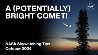 What's Up: October 2024 Skywatching Tips from NASA