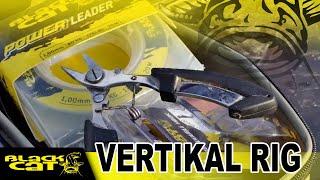 PERFEKTES VERTIKAL RIG für WELS - BASTELSTUNDE mit MICHAEL KOCH