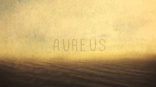 Aureus - Gold