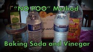 Living on Less Series - "No Poo" Shampoo/Conditioner