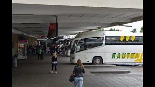 Kylančios kainos neaplenkė keliaujančių tarpmiestiniais autobusais: žada didinti bilietų kainas