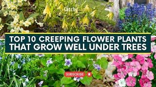 Top 10 Creeping Flower Plants That Grow Well Under Trees  // #gardeningtips