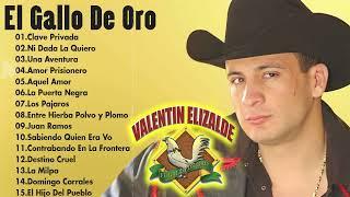 Valentin Elizalde ( El Gallo De Oro ) - Puros Corridos Mix ( 30 Mejores Exitos )