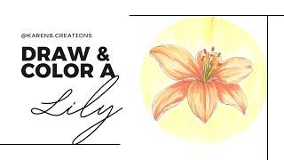 Draw and Color a LILY drawing with me!