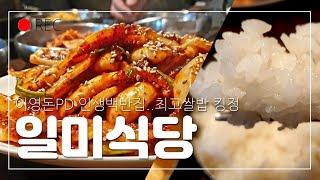 (4K) 일미식당 백반맛집 | 종로 K-직장인 점심투어 브이로그 #낙원동 #청국장 #오징어볶음 #쌀밥맛집 #수요미식회