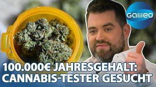 Als Cannabis-Sommelier bis zu 100.000€ im Jahr verdienen