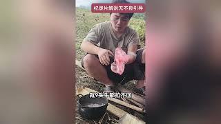 小凯为补贴家用冒险上山，哥哥病中坚守，兄弟情太动人