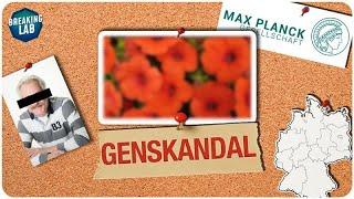 Deutschlands größter Gen-Skandal: Die illegale Petunie