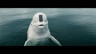 Genius Beluga [EXTENDED CUT] I NerdWallet Big Game Commercial 2025