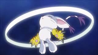 Digimon Adventure 2020 - Tailmon / Gatomon Digivolves to Angewomon