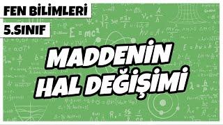 5. Sınıf Fen Bilimleri - Maddenin Hal Değişimi | 2022