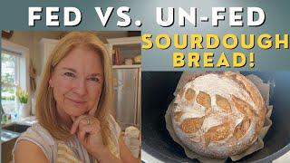 ACTIVE, fed, bubbly sourdough starter: NECESSARY for a GREAT loaf of bread? Watch now!