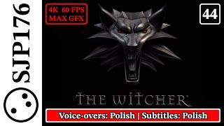 The Witcher: Enhanced Edition—Uncut No-Commentary First-Time Playthrough—Part 44 (Final)