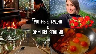 Уютные зимние дни в Японии. Блошиный рынок, Лунный Новый Год и Поездка в Нагасаки