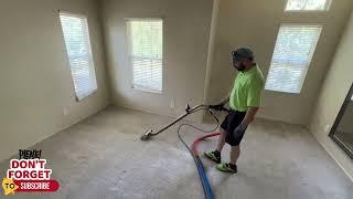 Carpet with 9 Dogs getting Cleaned! Strong Pet Odor!